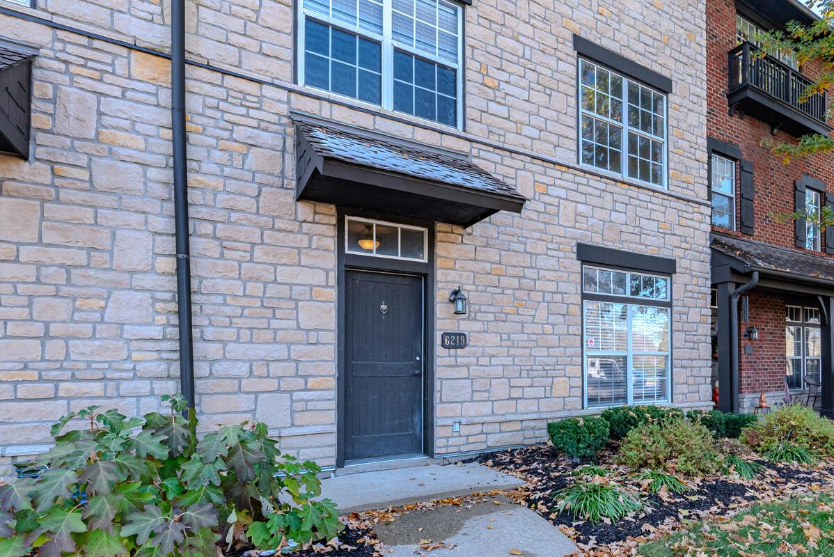 Stone-faced Dublin townhome entry with a dark front door, shed roof over the door, tall windows and autumn plantings along the walk